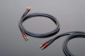 Transparent Hard Wired Speaker Cable